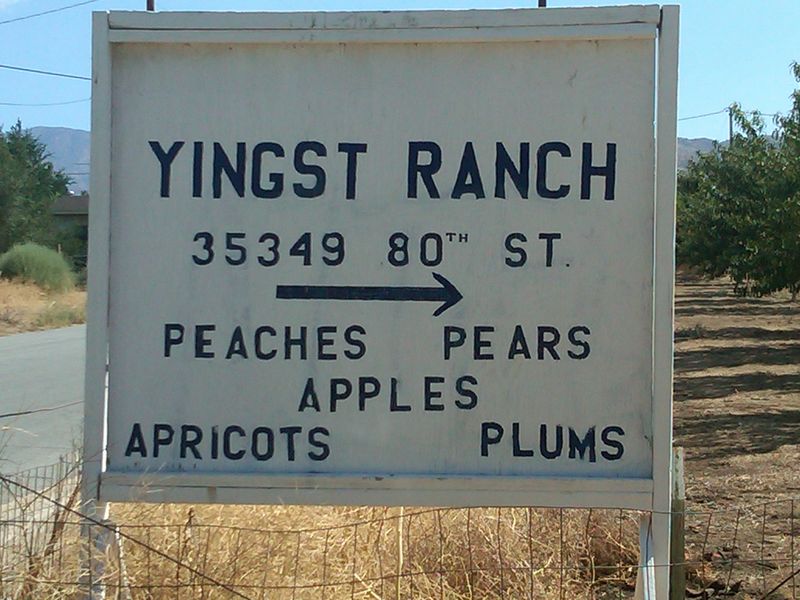 Yingst Farm